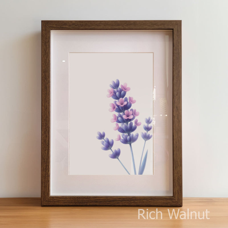 Floral Trio | Daisy, Poppy & Lavender Prints Set of 3