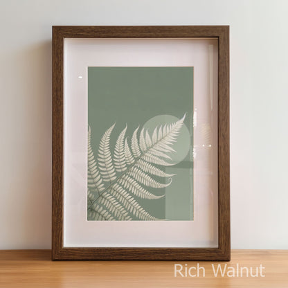 Framed artwork with a fern design on a light background