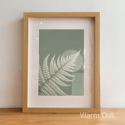 Framed artwork with a fern leaf design on a light background