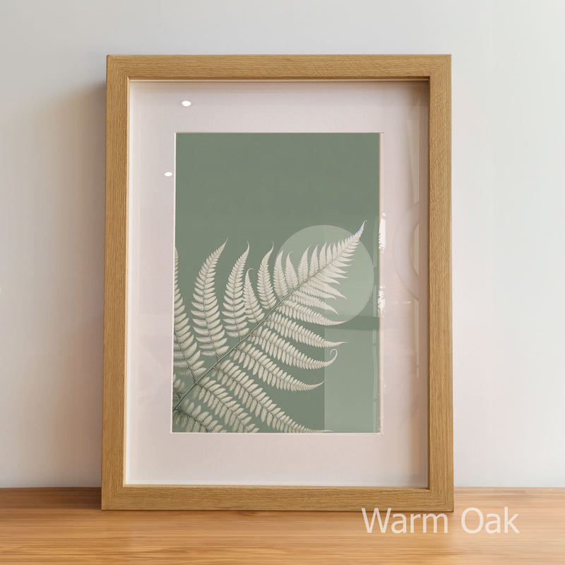 Framed artwork with a fern leaf design on a light background