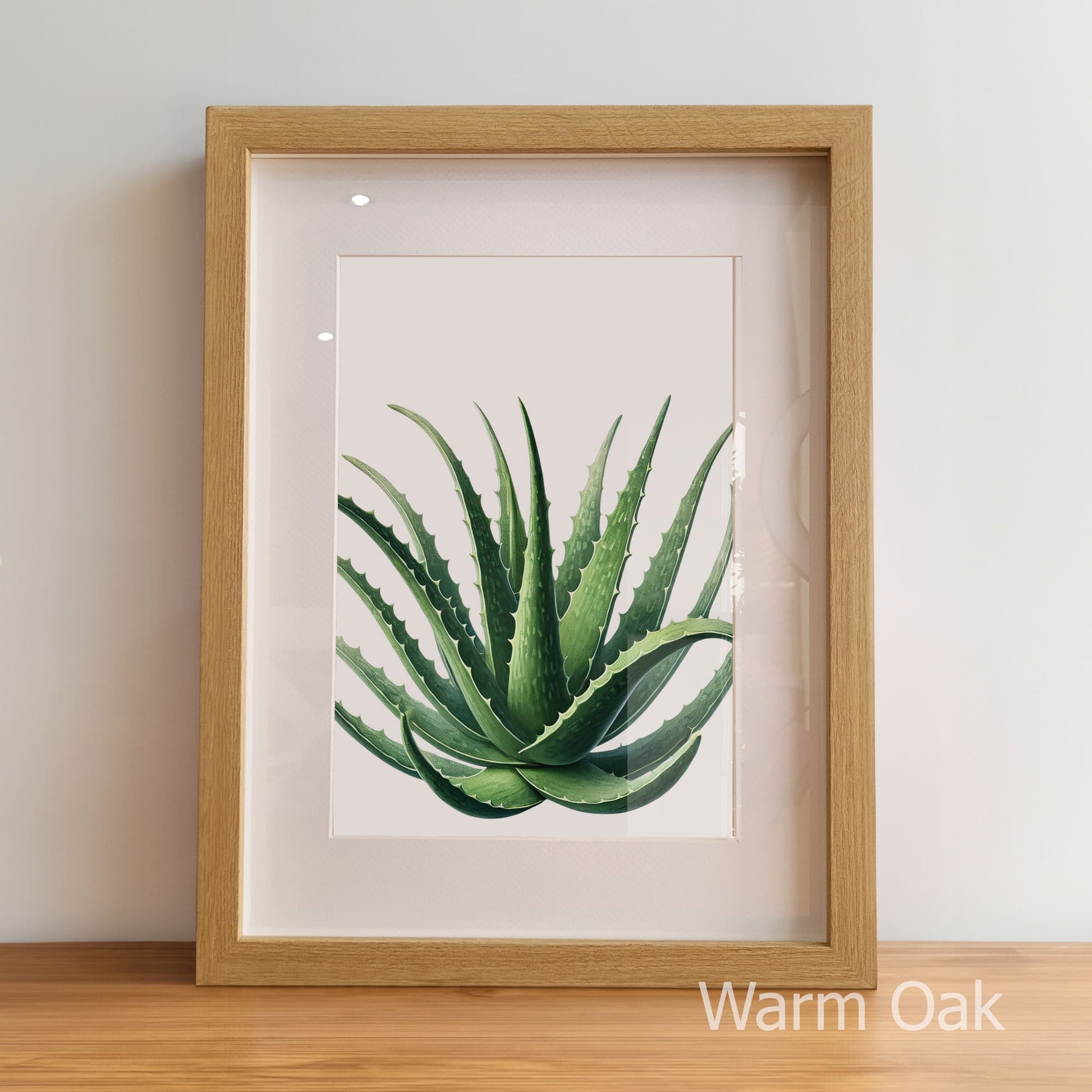Framed artwork of a green plant on a light background